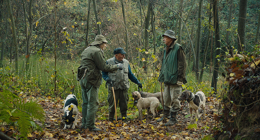 old men and their dogs hunting truffles